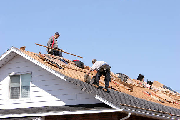 Best Gutter Installation and Repair  in Latta, SC